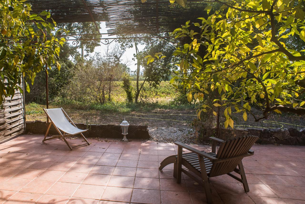 Domaine De La Marseillaise Apartment La Crau Bagian luar foto